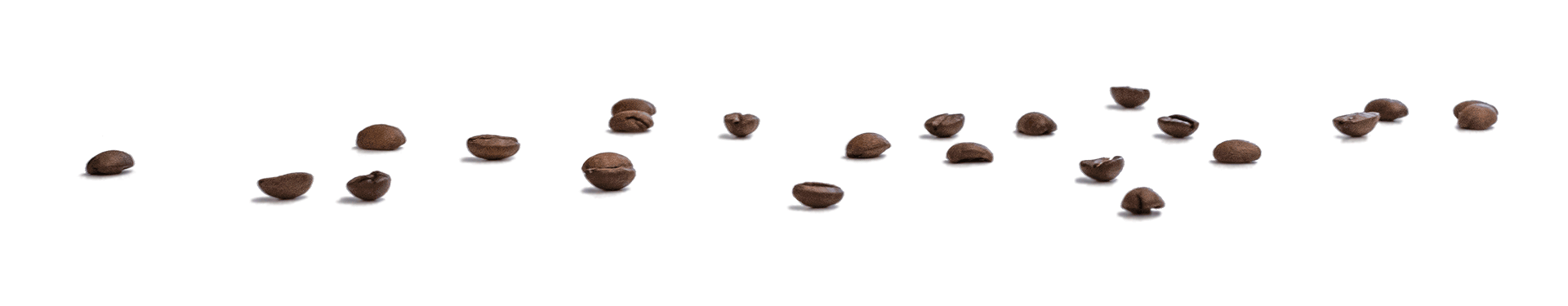 Detailaufnahme von Kaffeebohnen auf weißem Hintergrund – symbolisch für kreative Gespräche